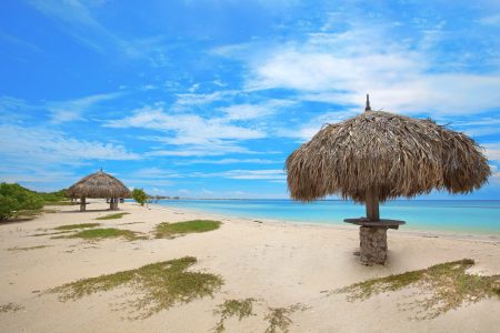 an umbrella sitting on top of a sandy beach