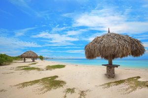 an umbrella sitting on top of a sandy beach