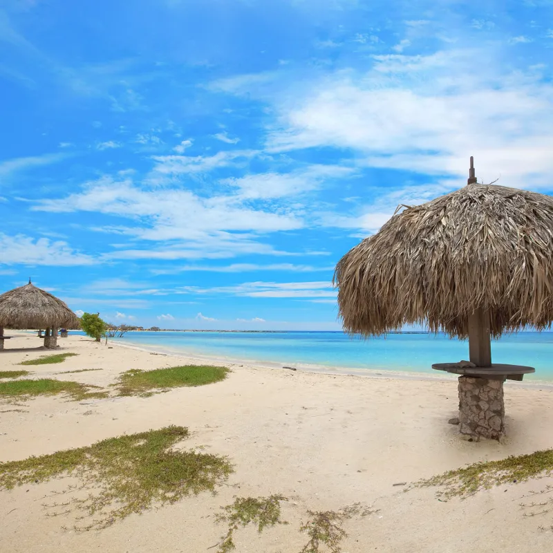 an umbrella sitting on top of a sandy beach