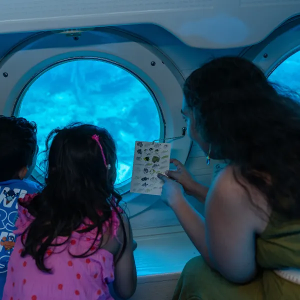 Two children and an adult looking out submarine windows at underwater scene.