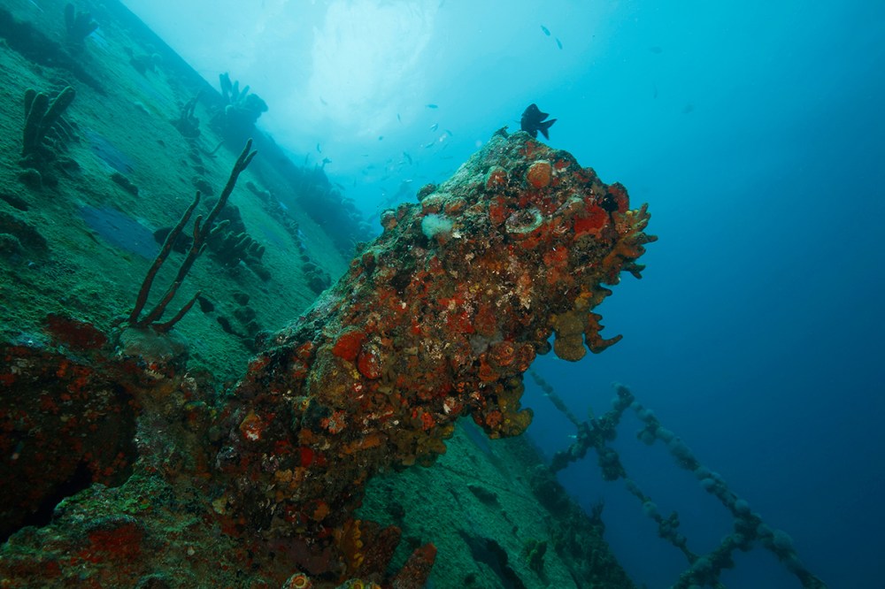 Antilla Shipwreck Aruba - Seaworld Explorer Aruba
