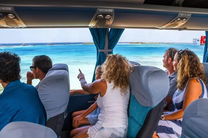 a group of people are drinking from the water