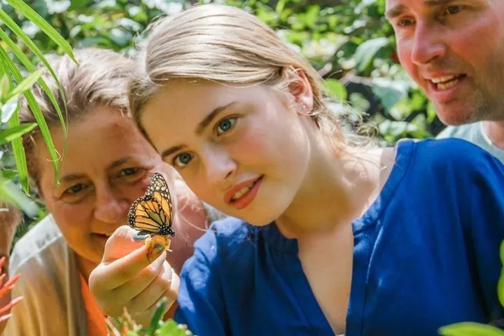 a person in a blue shirt