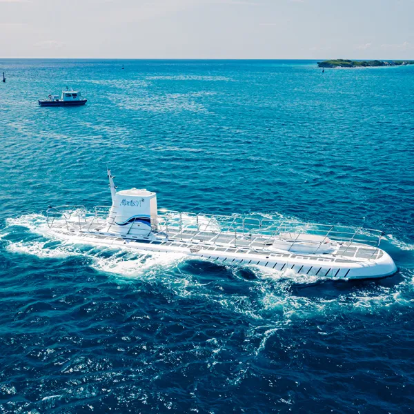 Atlantis Submarines Aruba 4