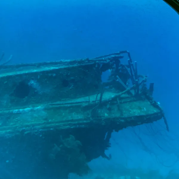 a view of shipwreck - Atlantis Submarine
