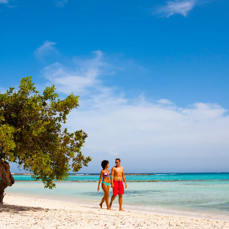 a person standing on a beach