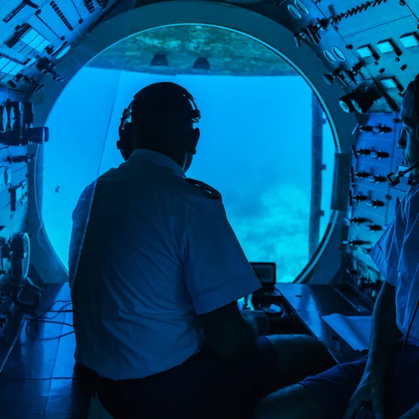 Silhouette of person in submarine cockpit, viewing underwater scene.