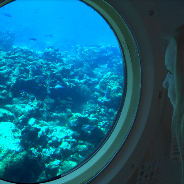 a view of the television