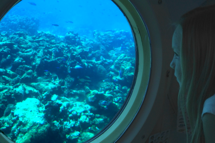 a view of the television