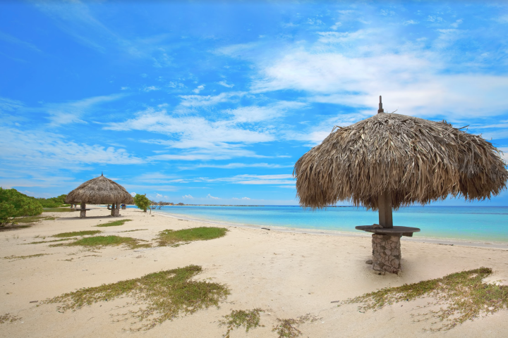 an umbrella sitting on top of a sandy beach