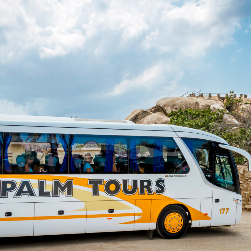 a passenger bus that is parked on the side of a road
