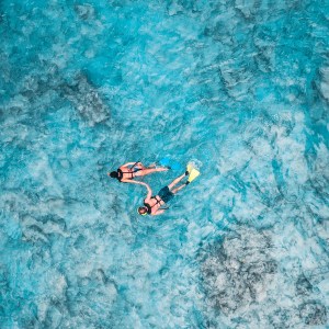 Snorkeling at de palm island aruba