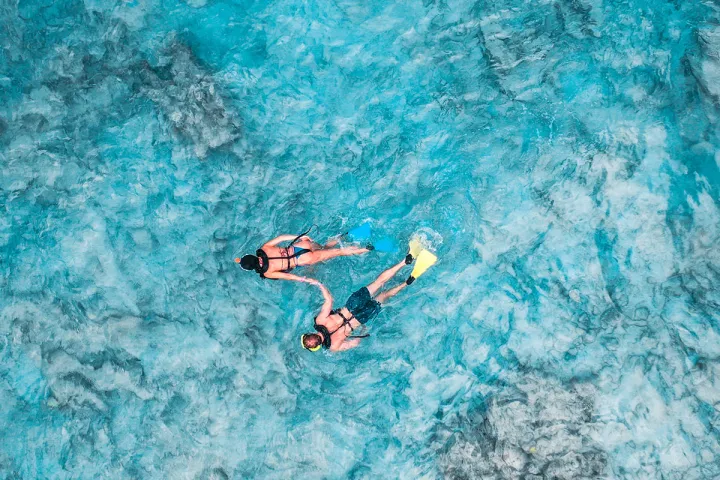 Snorkeling at de palm island aruba