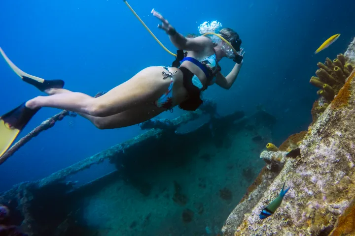 a person swimming in the water