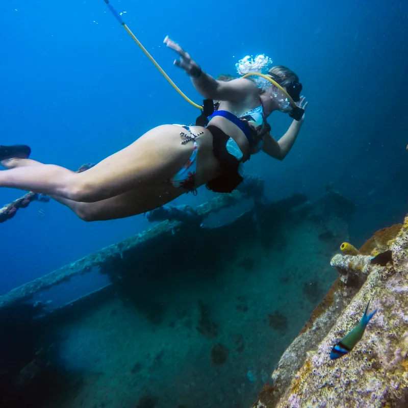 a person swimming in the water