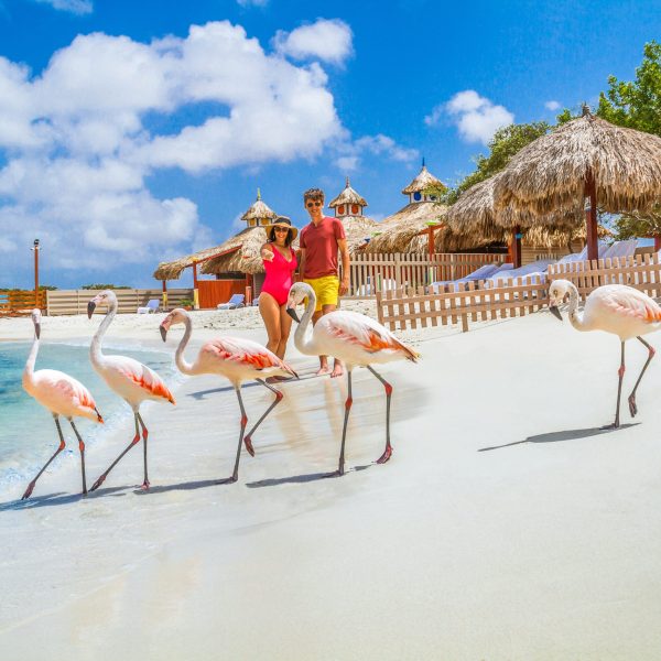 De Palm Island Aruba