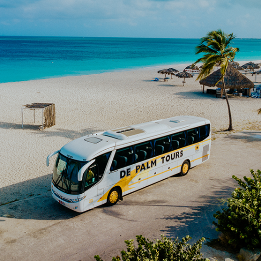 de palm tours shared bus transfer