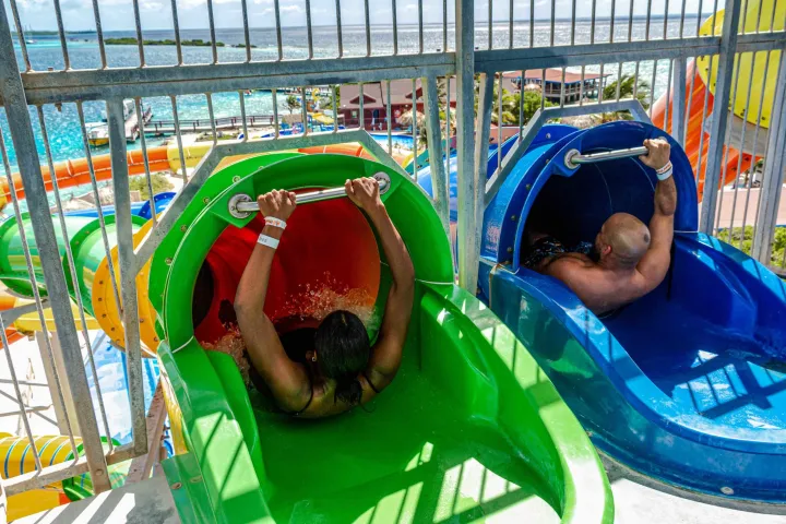 a close up of a green fence