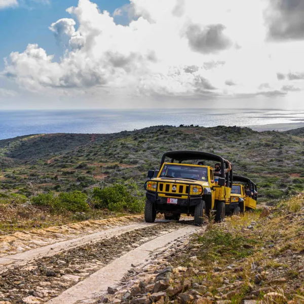 a train traveling down a dirt road