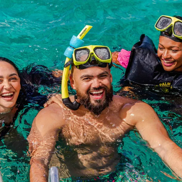 a group of people swimming in a pool of water