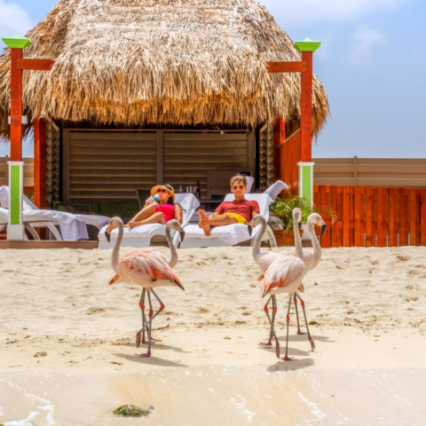 a group of people on a beach