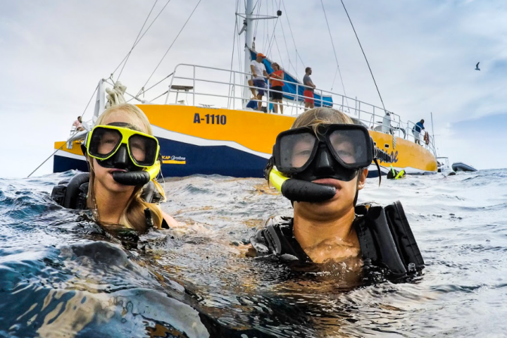 a boat with a dog in a body of water
