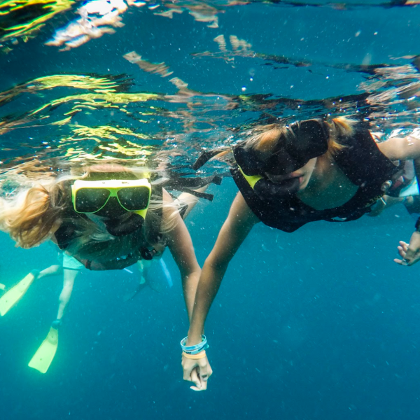 a person swimming in a pool of water