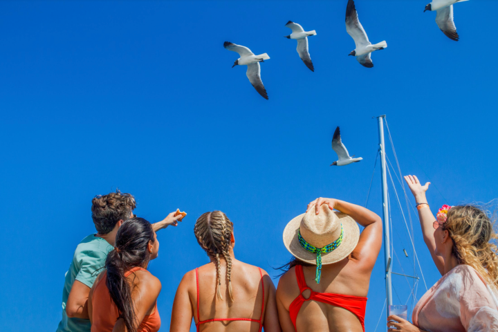 a flock of seagulls flying over a body of water