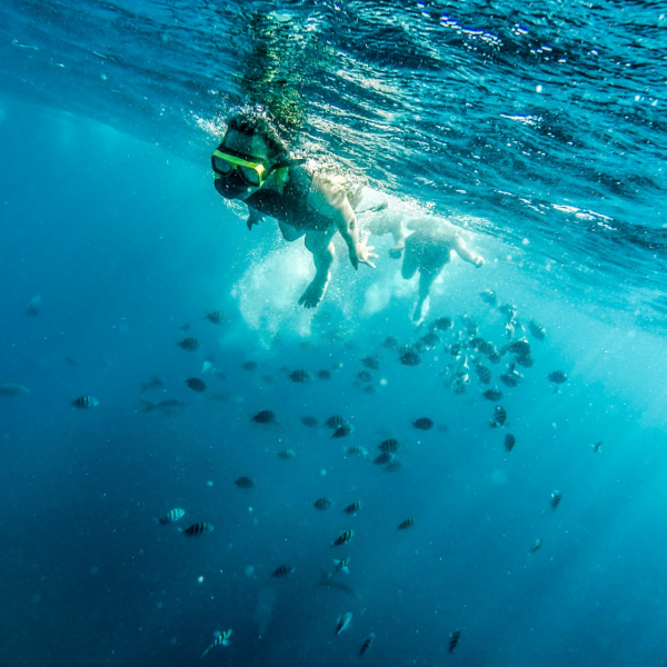 a person swimming in a body of water