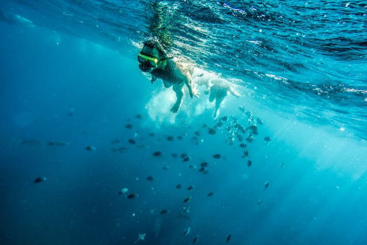 a person swimming in a body of water