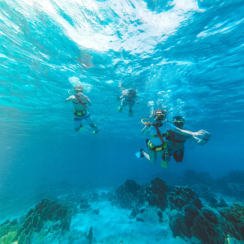 a group of people swimming in the water