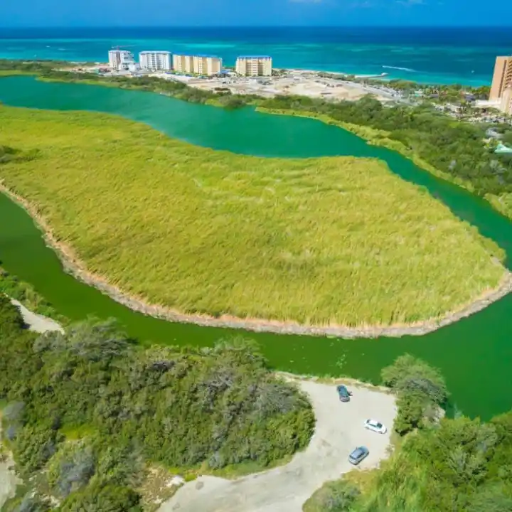 a green lawn next to a body of water
