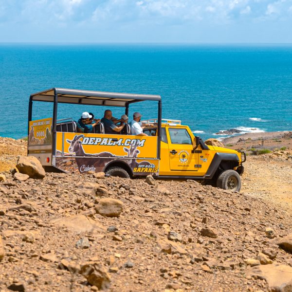 a tractor on a rocky beach next to a body of water