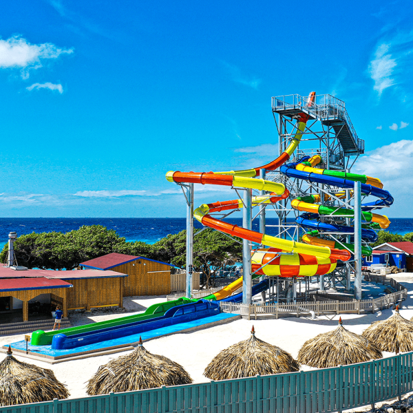 a group of people on a beach