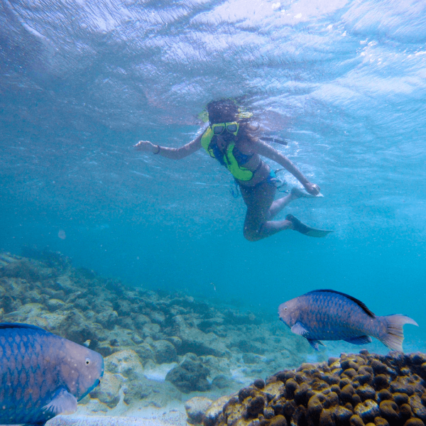 a large body of water