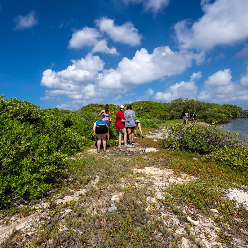 a couple of people that are standing in the grass