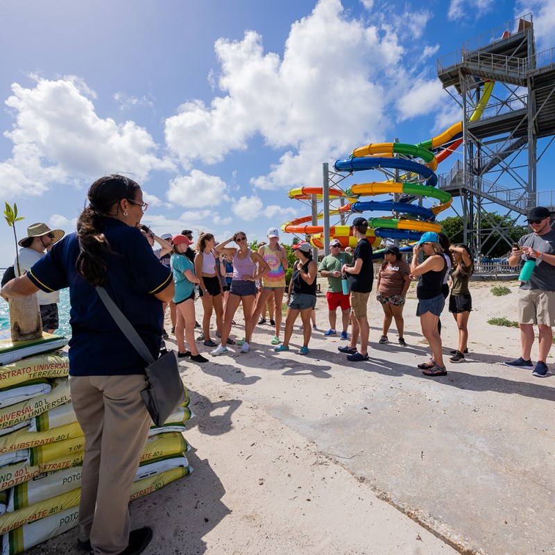 a group of people standing on top of a sandy beach