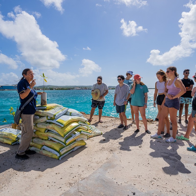 a group of people standing on top of a sandy beach