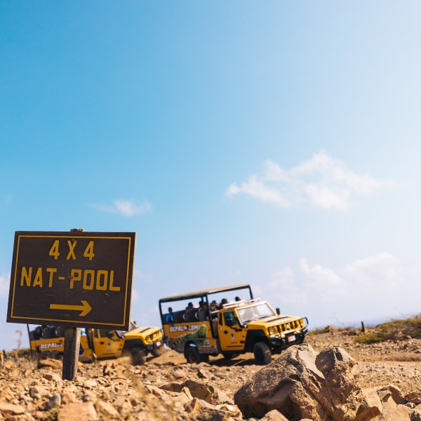 natural pool de palm tours safari off road