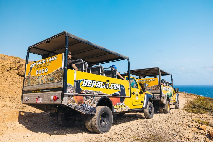 de palm tours jeep tours in arikok national park