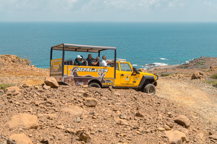 de palm tours safari jeep tour at arikok national park