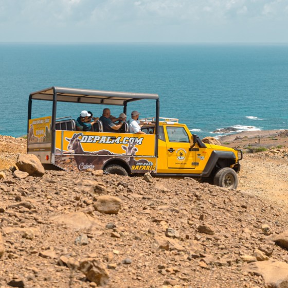 de palm tours safari jeep tour at arikok national park