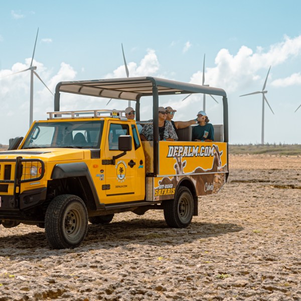 de palm tours safari jeep tour at Wind Farm Vader Piet