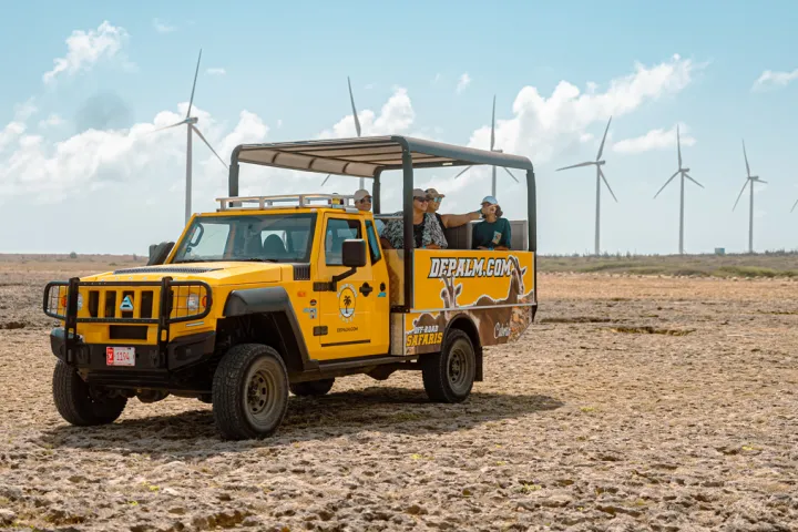 de palm tours safari jeep tour at Wind Farm Vader Piet