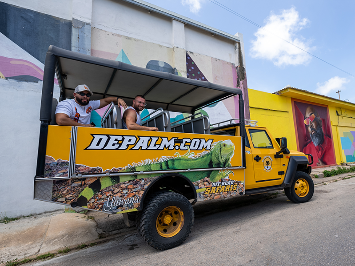 de palm tours jeep safari tours in san nicolas street art