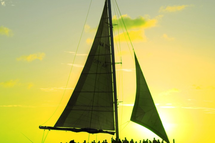 st patricks day palm pleasure sail