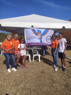 aruba doet de palm tours