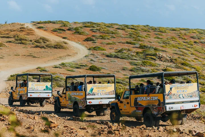 de palm tours safari off road 1