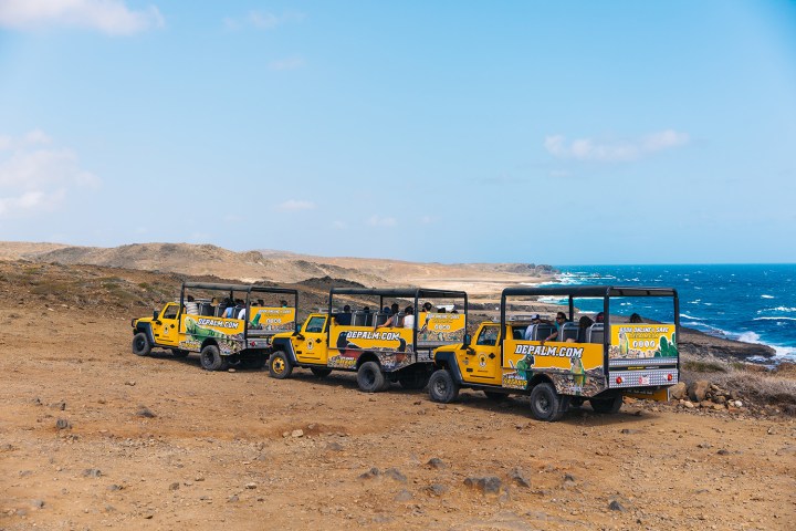 de palm tours safari off road