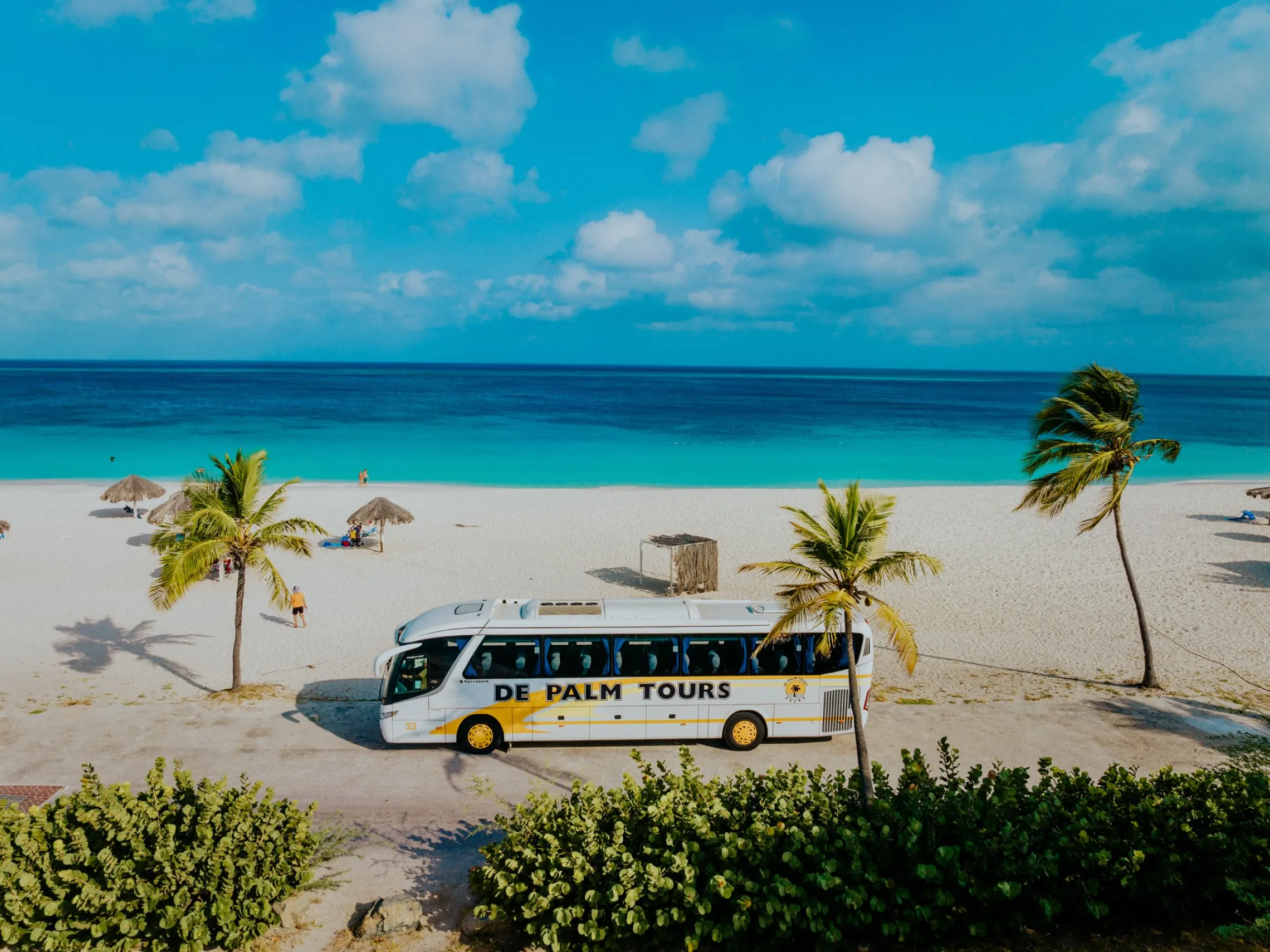 a group of palm trees on a beach next to the ocean